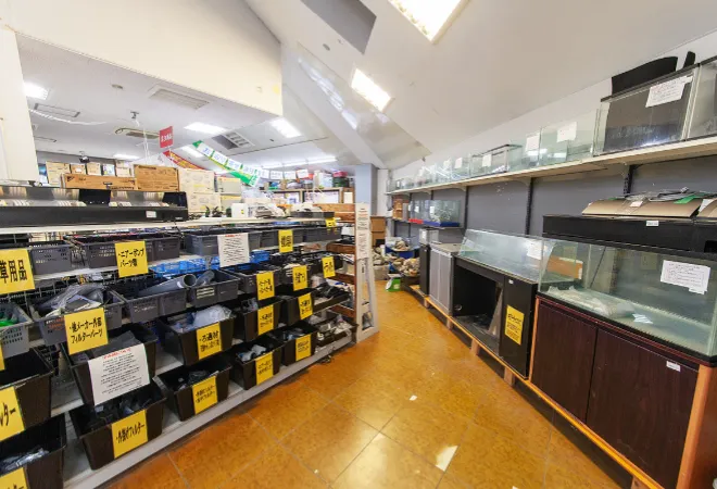 中古品販売